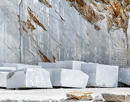 Jiangsu Xinyesheng ประติมากรรม Co., Ltd.